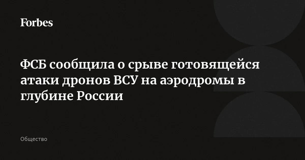 ФСБ пресекла атаки дронами на аэродромы: у 24 БПЛА нашли нейросетевые модули против РЭБ