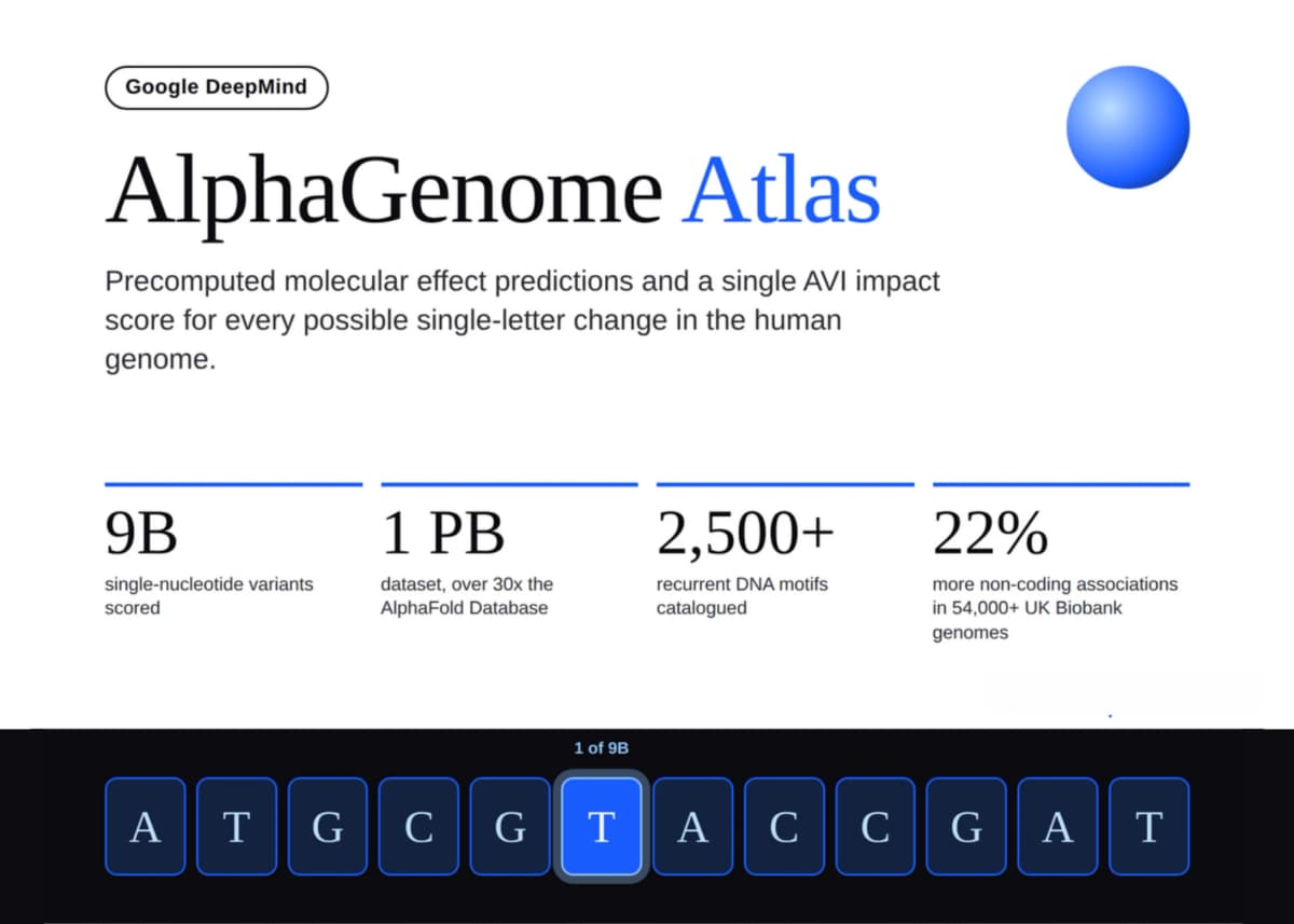 AlphaGenome Atlas: генетика получила бесплатный каталог всех 9 млрд мутаций генома
