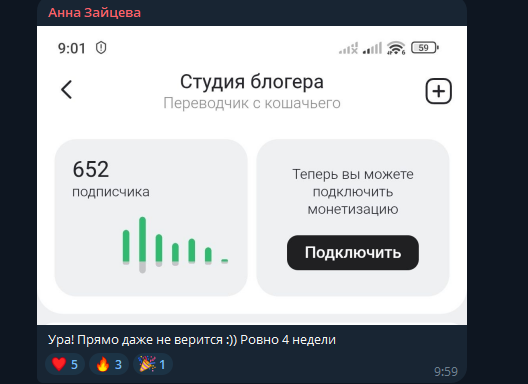Сообщение Анны Зайцевой: монетизация ровно за 4 недели, 652 подписчика
