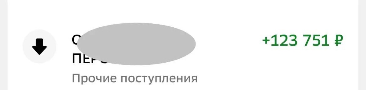 Скриншот оплаты Владимира Фея